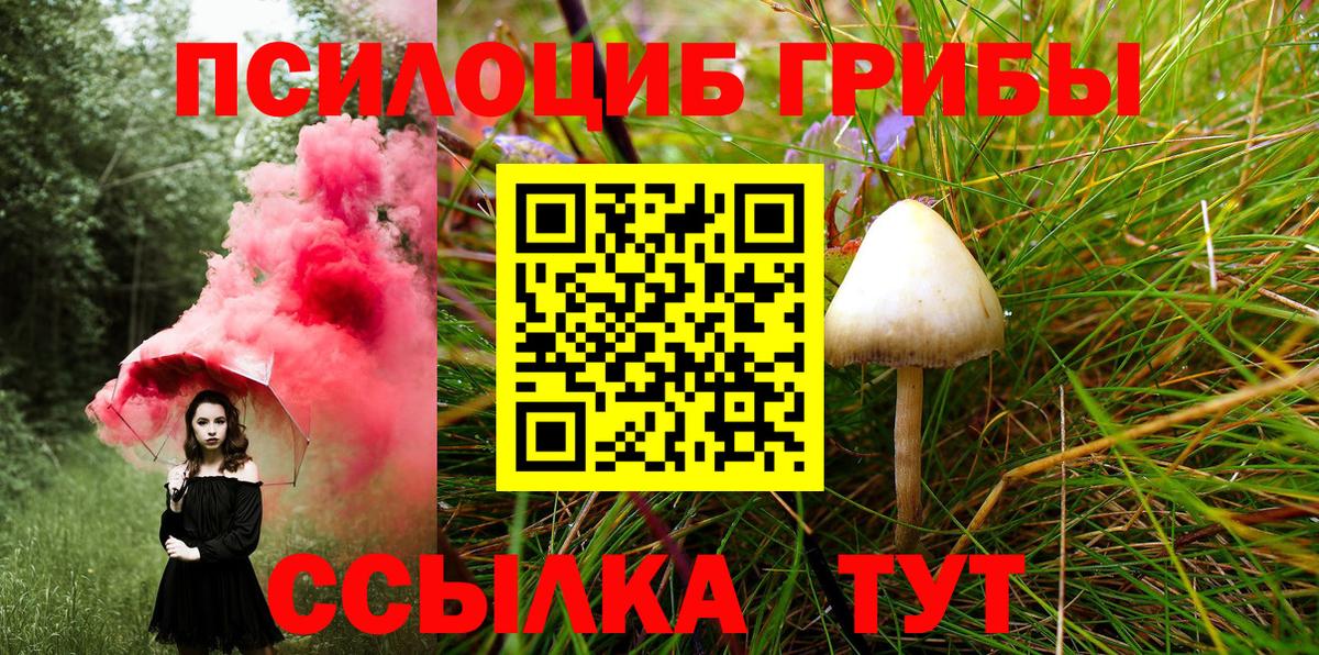 Семёнов  Галлюциногенные грибы GOLDEN TEACHER  Вход с VPN 