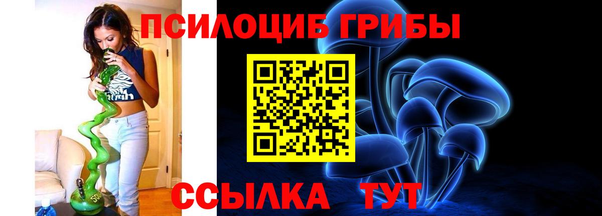 Галлюциногенные грибы Psilocybe Семёнов